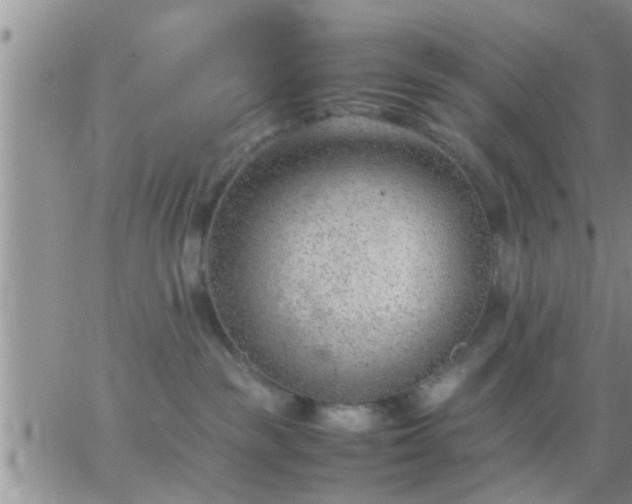 X0000065250189200602242059