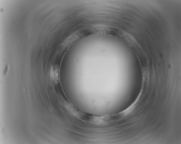 X0000065250190200602242059