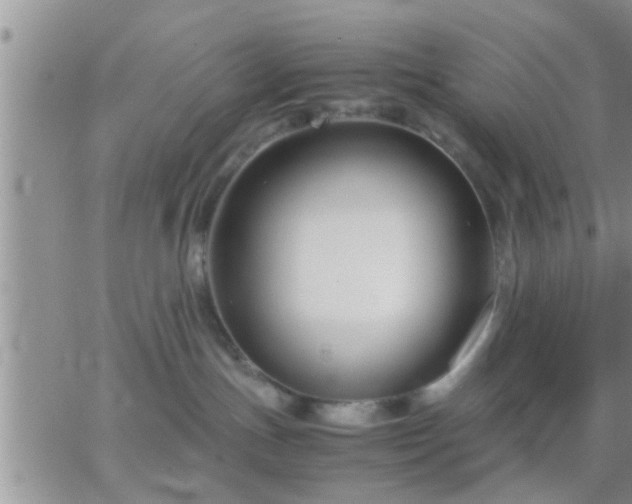 X0000065250191200602242059