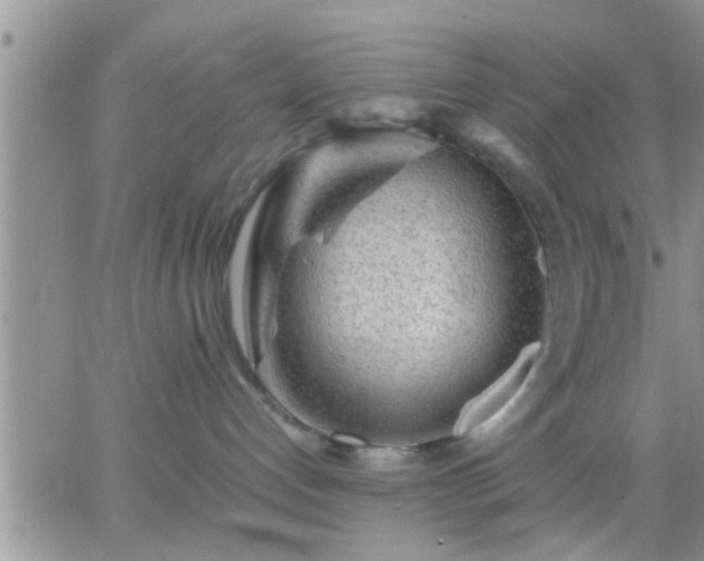 X0000065250192200602242059