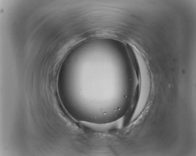 X0000065250193200602242058