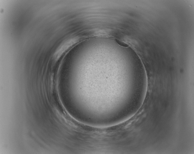 X0000065250194200602242058