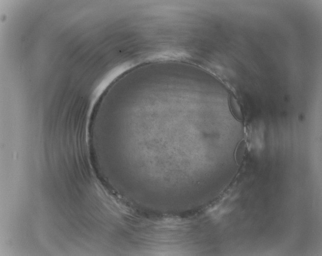 X0000065250196200602242058