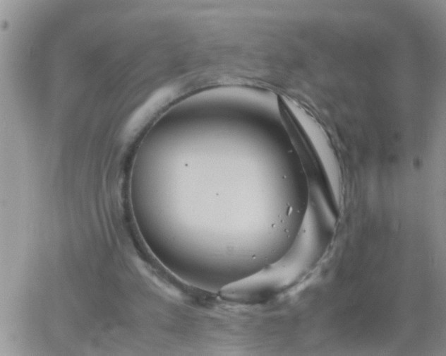 X0000065250197200602242058