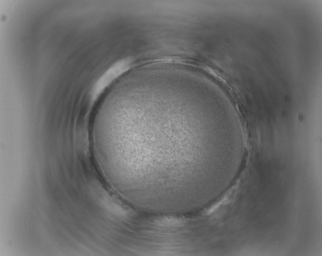 X0000065250198200602242058