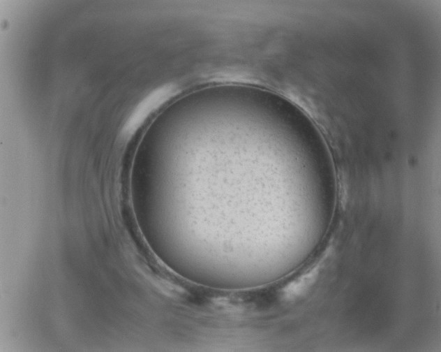 X0000065250199200602242058