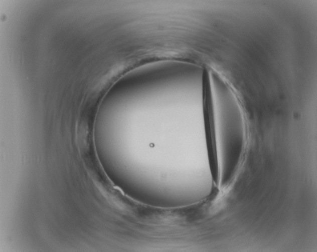 X0000065250201200602242058