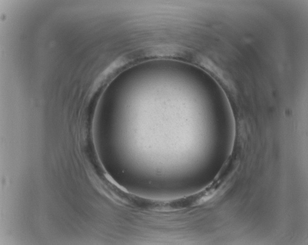 X0000065250203200602242058