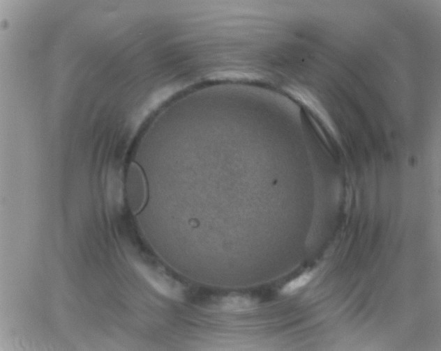 X0000065250204200602242058