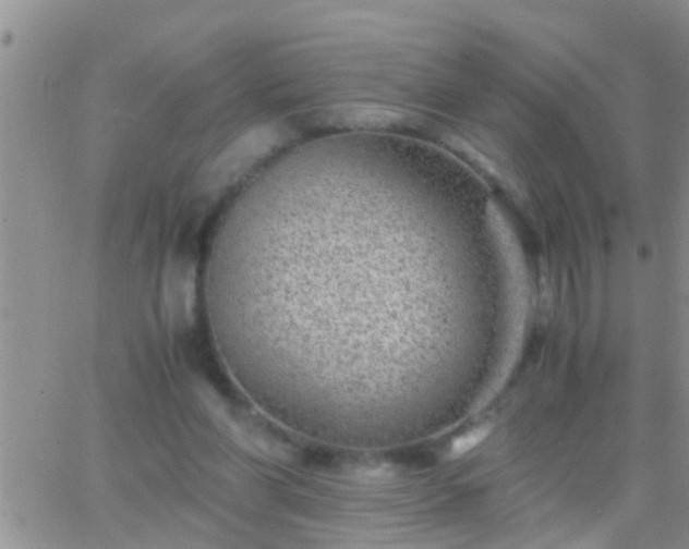 X0000065250206200602242058