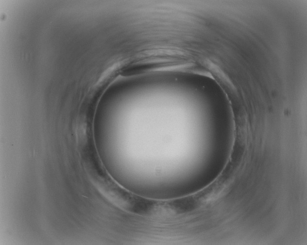 X0000065250207200602242058