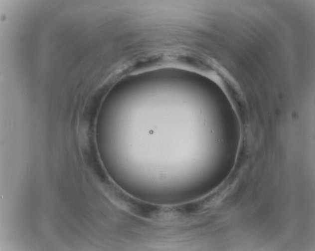 X0000065250209200602242058