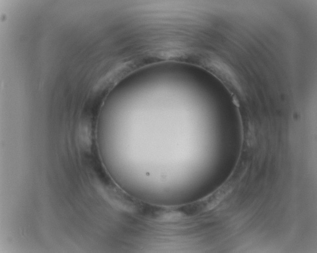 X0000065250210200602242058