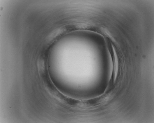 X0000065250211200602242058