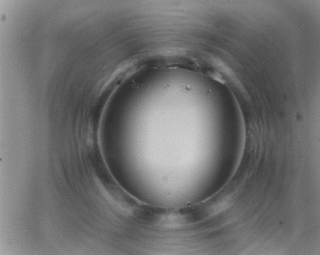 X0000065250212200602242058