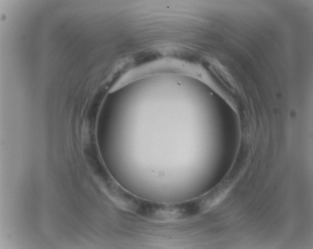 X0000065250213200602242058