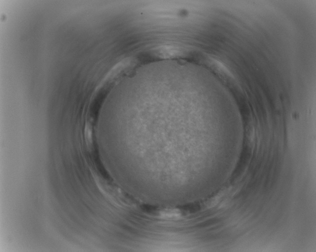 X0000065250214200602242058