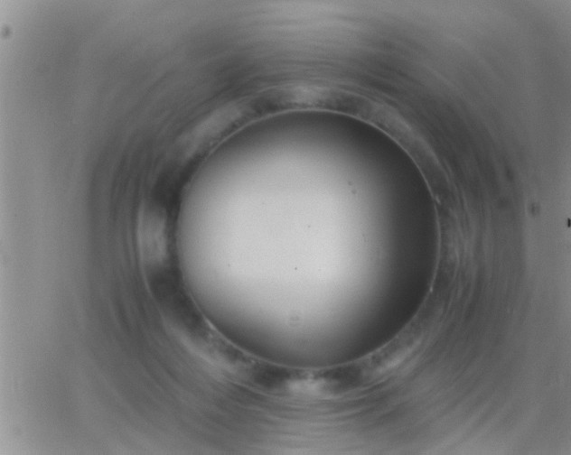 X0000065250216200602242058