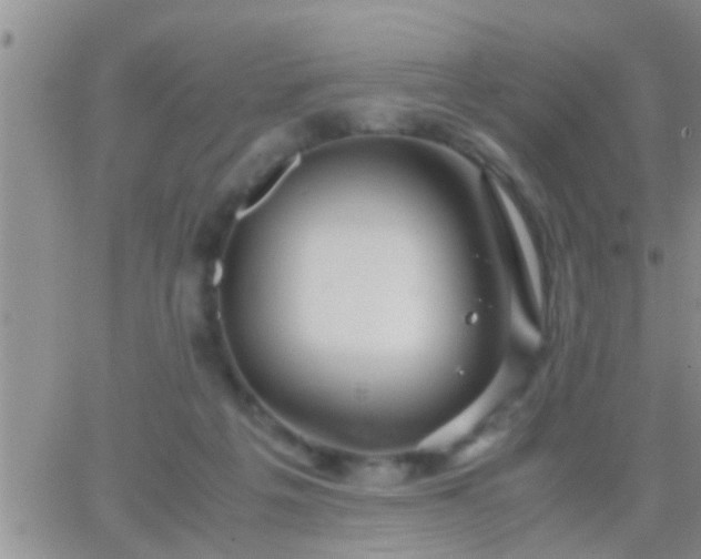 X0000065250217200602242058