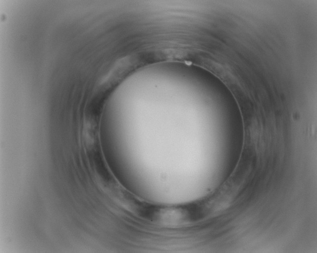 X0000065250218200602242058