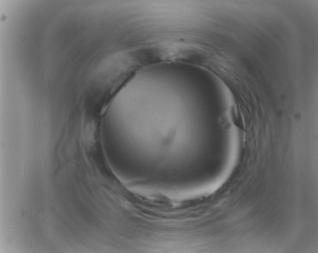 X0000065250219200602242058