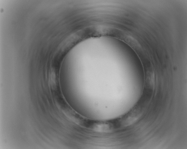 X0000065250220200602242058