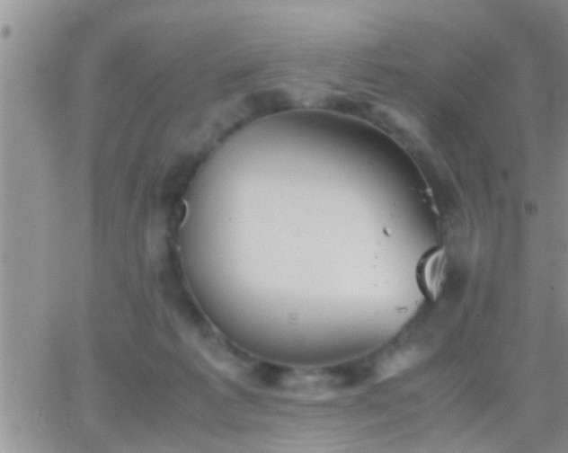 X0000065250221200602242058