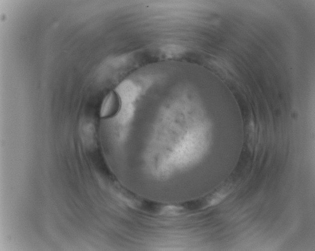 X0000065250222200602242058