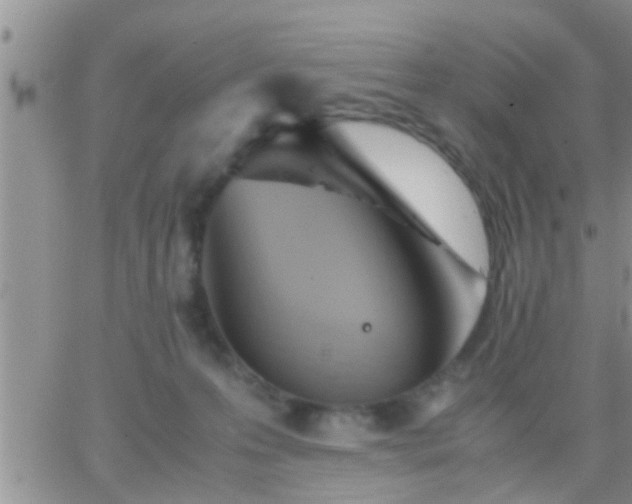 X0000065250223200602242058