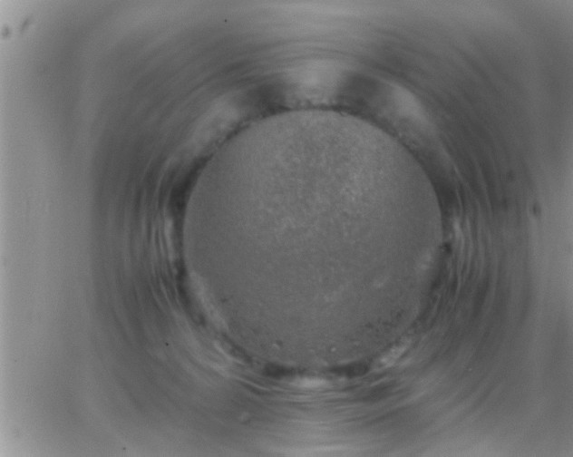 X0000065250224200602242058