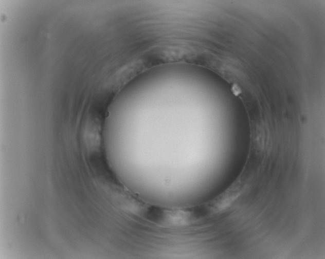 X0000065250226200602242058