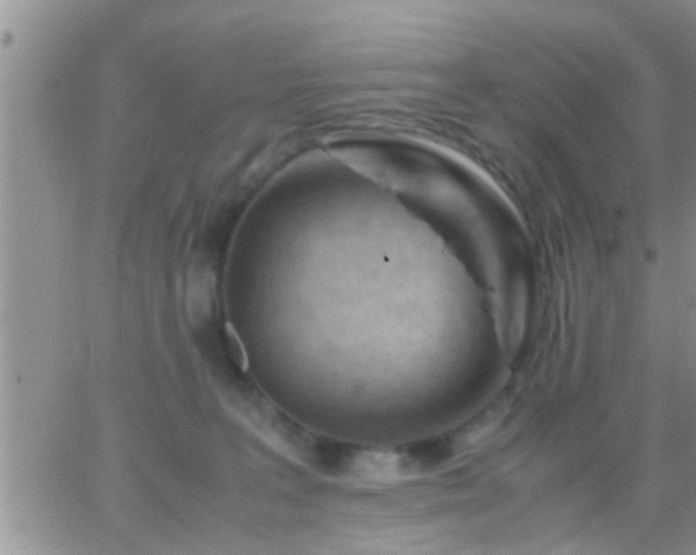 X0000065250227200602242057