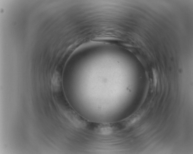 X0000065250228200602242057