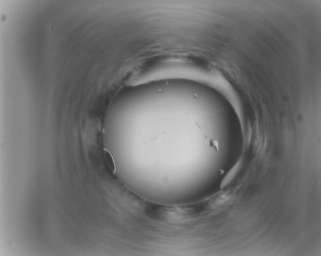 X0000065250229200602242057