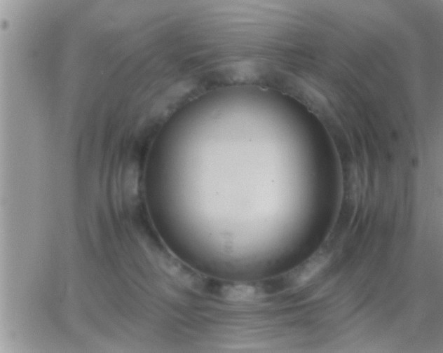 X0000065250230200602242057