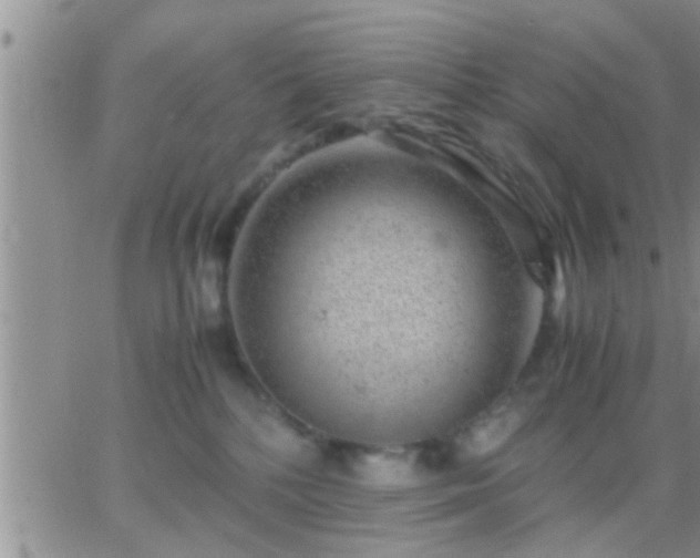 X0000065250232200602242057