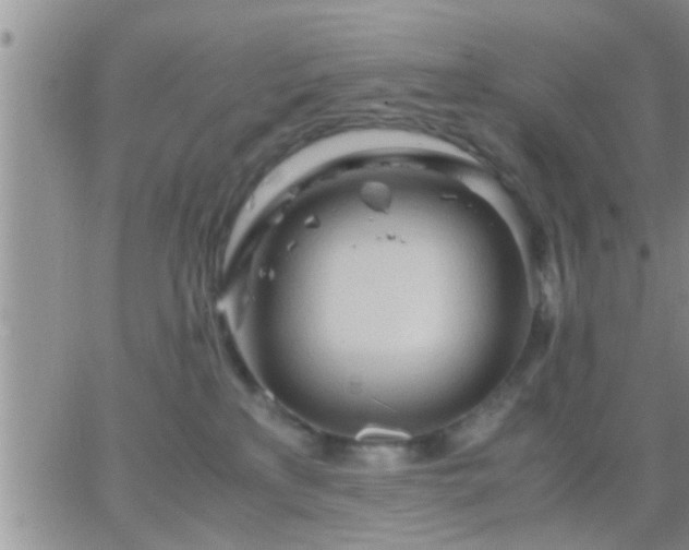 X0000065250233200602242057