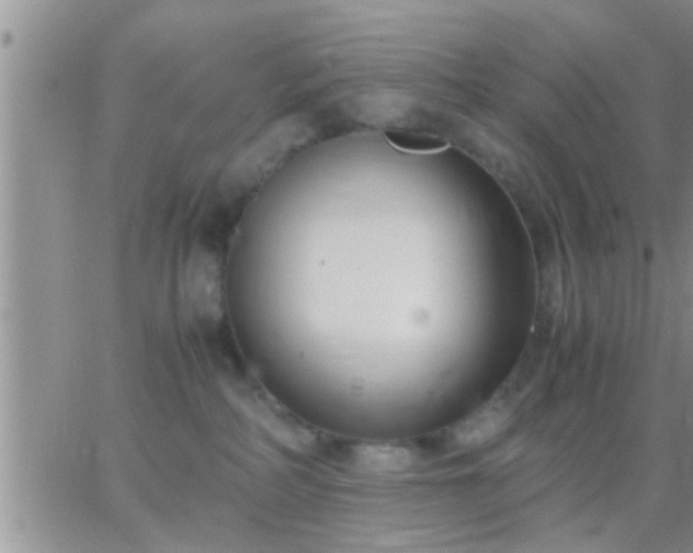 X0000065250234200602242057