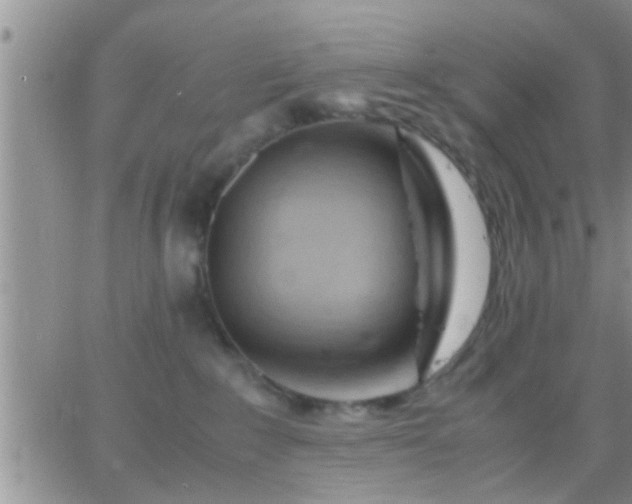 X0000065250235200602242057