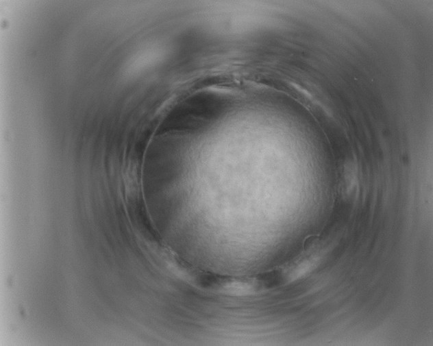 X0000065250236200602242057