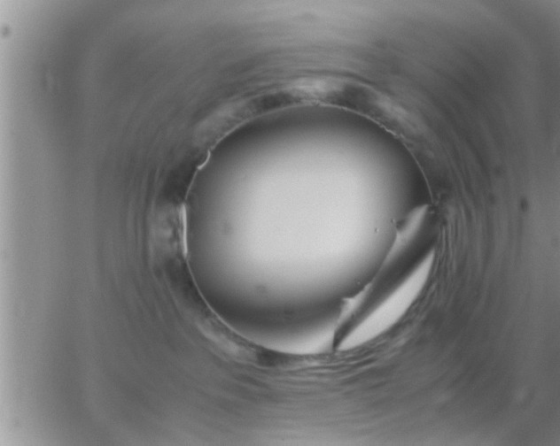 X0000065250237200602242057