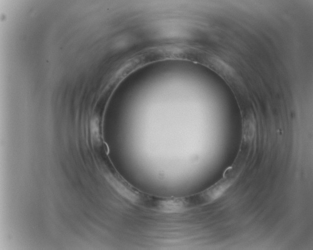 X0000065250238200602242057