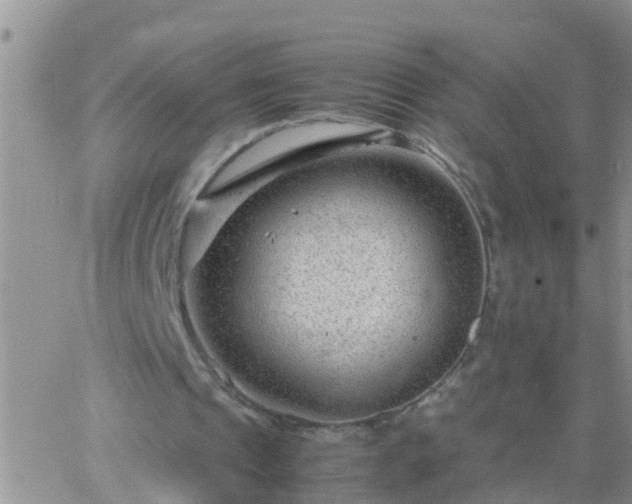 X0000065250241200602242056