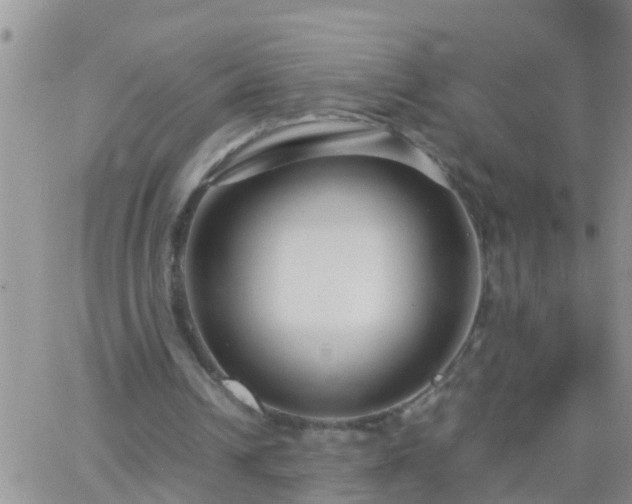 X0000065250242200602242057