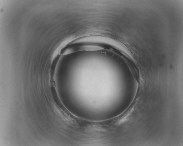 X0000065250244200602242057