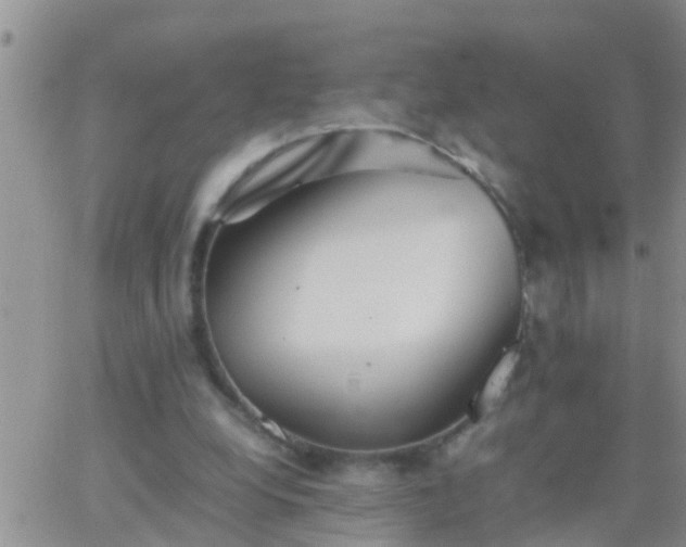 X0000065250248200602242057