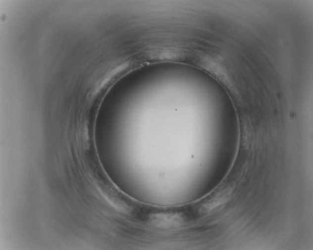 X0000065250251200602242057