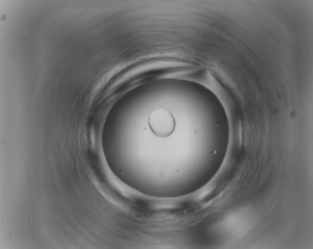 X0000065250252200602242057