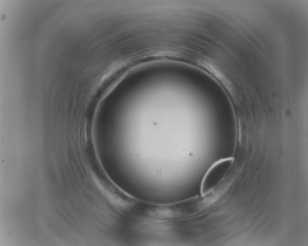 X0000065250253200602242057