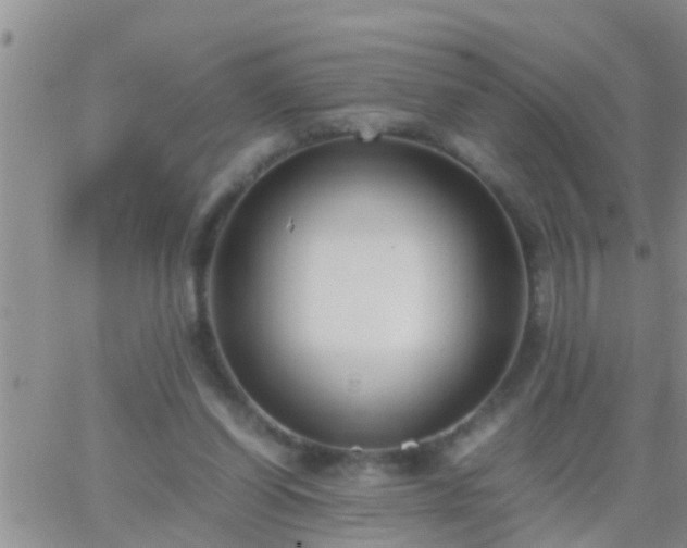 X0000065250254200602242057